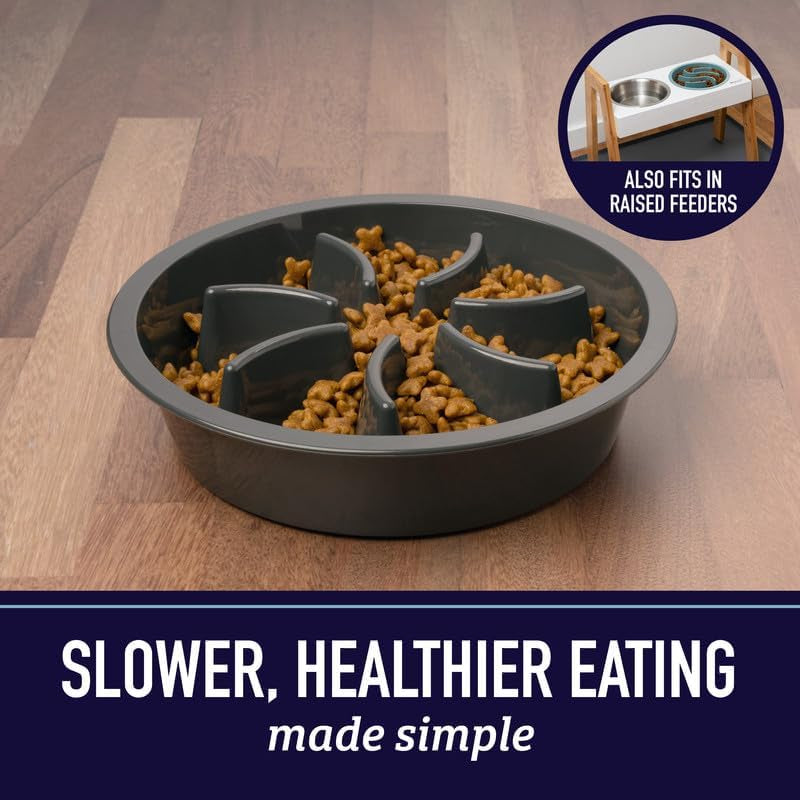 Slow Feeder Dog Bowls - 2 Cup, Gray Star Maze - Slow Feeder Insert - Non-Slip Base